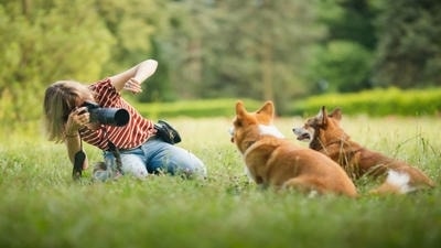 How to Photograph Shy Pets: Tips for Earning Their Trust and Getting Great Shots